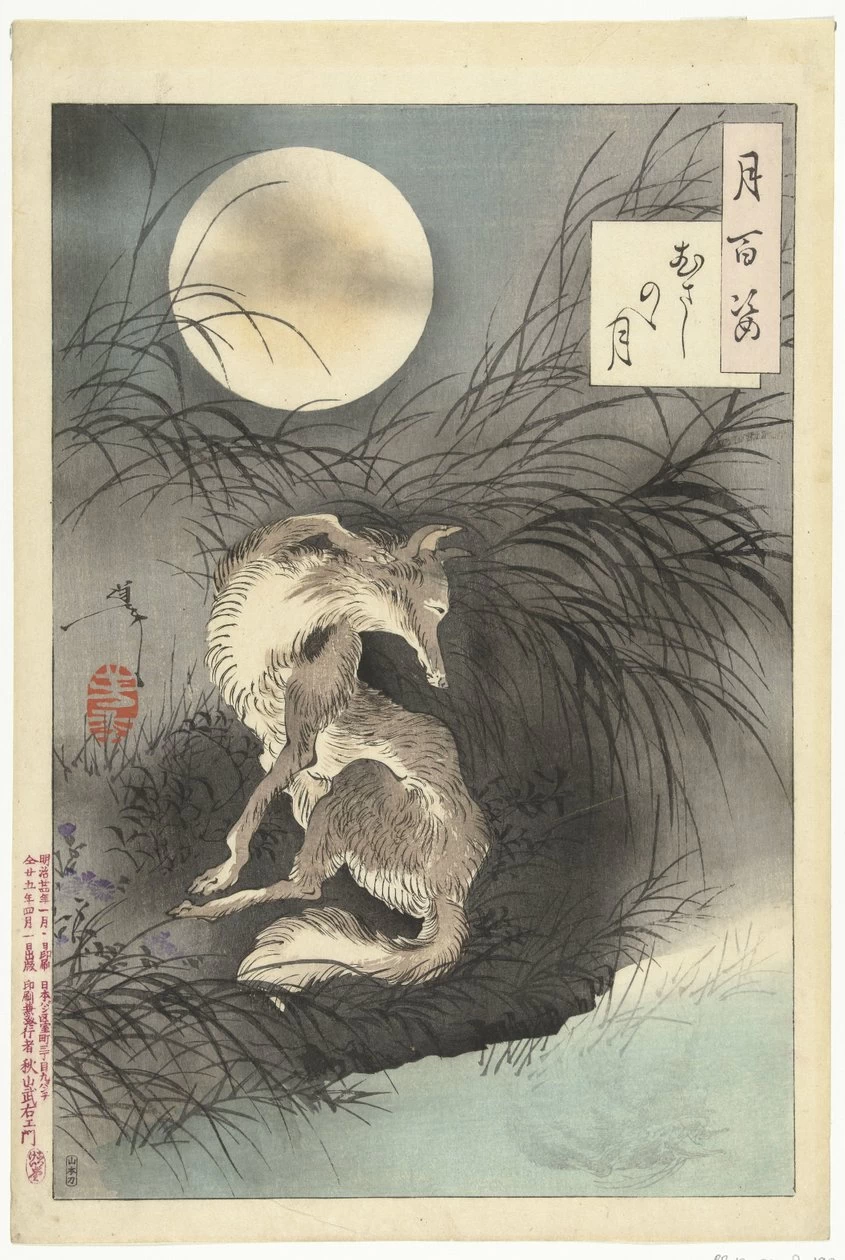 Luna della pianura di Musashi - Rijks Museum, Amsterdam